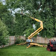 Duluth, GA Tree Services Company